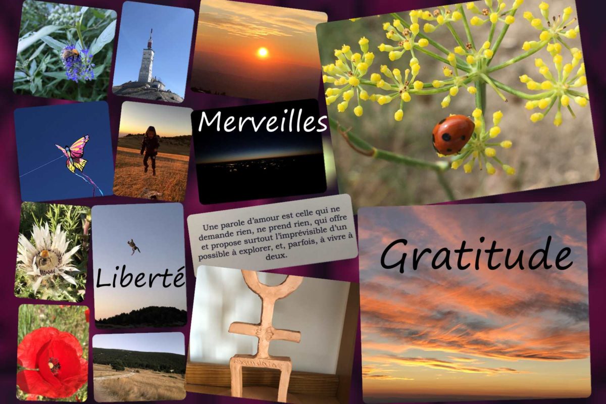 Tableau De Visualisation Positive Libessence